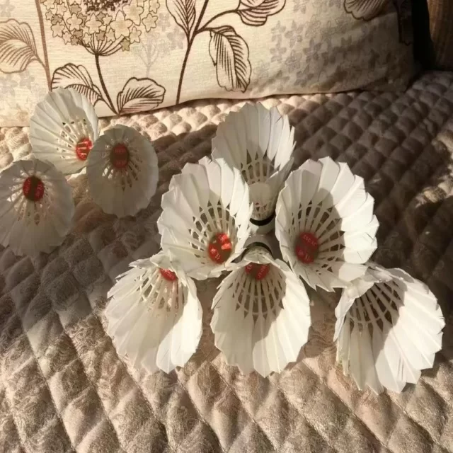 吴艳妮闪耀钻石联赛赛场引关注